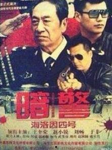 暗警2电视剧在线播放,在线揭秘，犯罪背后的真相