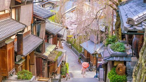 优美高清日本,高清镜头下的绝美风景