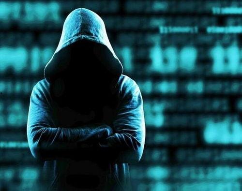 日本的黑客,技术巅峰与网络阴影的交织
