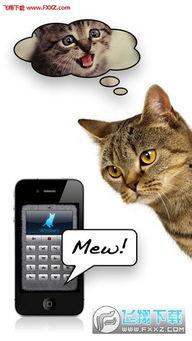 猫咪视频破解版,带你领略萌宠世界的无限魅力