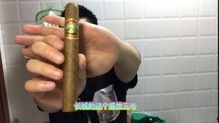 雪茄 视频,探寻烟草艺术的独特韵味