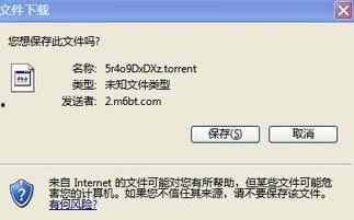 欧州av迅雷种子,探索高清影视资源的秘密通道