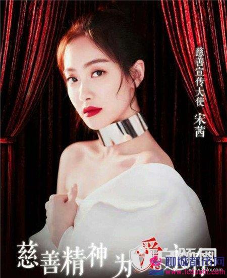 芭什么明星,揭秘时尚界的璀璨巨星