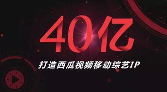 西瓜视频日本综艺,揭秘日本综艺界的趣味与魅力