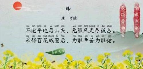 蜂古诗视频