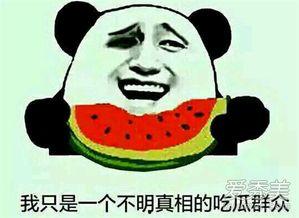 网友吃瓜什么意思啊